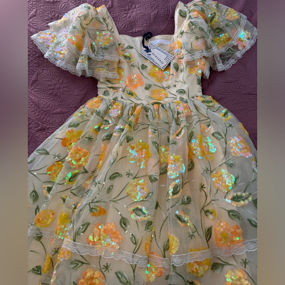 NWT Jesskae Sequin Dress